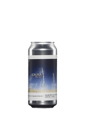 POPIHN Icauna Unitaire, bieres, ale, pale ale - 3,55 €