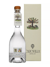 CAPOVILLA Abricot du Vesuve - Albicocche del Vesuvio, eaux de vie de fruits, eaux de vie de fruits, eaux de vie de fruits - 95,63 €