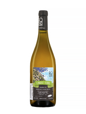 AZ. AGRICOLA POSSA 2019 Cinque Terre - Blanc, vins tranquilles, vins tranquilles, vins tranquilles - 17,62 €